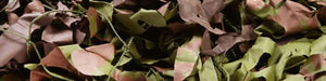 Camo Netting (CF)